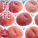 【ふるさと納税】≪先行予約≫2025年度発送 白桃 約3kg箱 満杯詰め（8個～14個入り） もも モモ 桃 デザート フルーツ 果物 くだもの 果実 食品 山形県 FSY-2168