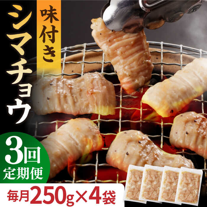 【ふるさと納税】【全3回定期便】【塩だれ】九州産和牛 ホルモン シマチョウ 1kg（250g×4袋） 長与町/岩永ホルモン [EAX105] 国産肉 ホルモン シマチョウ 小分け 味付き 冷凍 焼肉 焼き肉 和牛