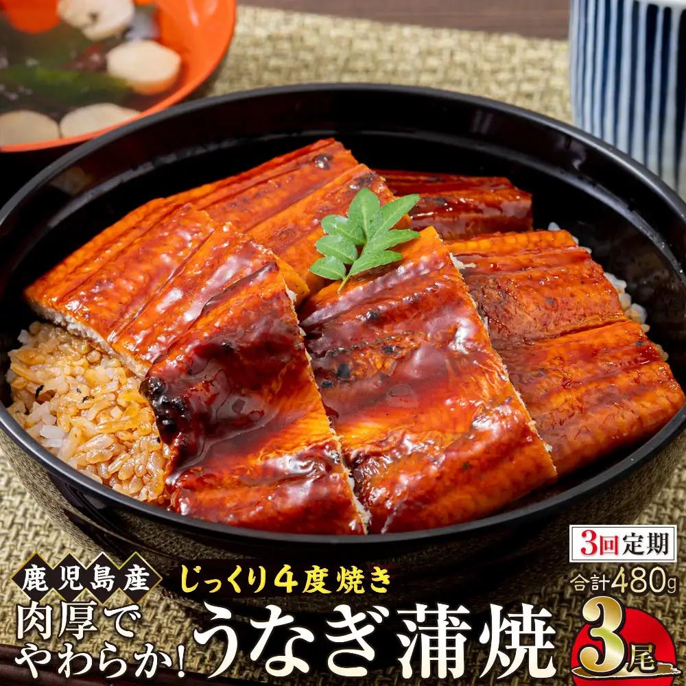 【3回定期】うなぎ 蒲焼 160g×3尾【鹿児島産】地下水で育てた絶品鰻｜国産 うなぎ 鰻 蒲焼 かばやき 魚 魚介 魚貝 海鮮 うな重 ひつまぶし ギフト 人気 おすすめ 大崎町 大隅半島