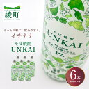 【ふるさと納税】もっと気軽に、飲みやすく。「イチナナ」そば焼酎（6本） UNKAI スッキリ 爽やか そば 雲海 送料無料（02-148）