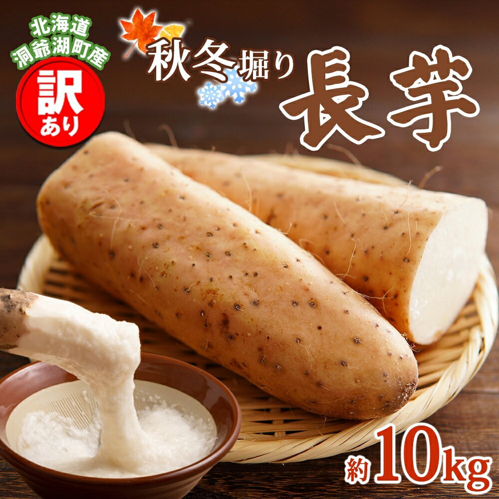【ふるさと納税】洞爺湖町産 訳あり 長芋 約10kg 2026年12月上旬から順次お届け 長いも 国産 北海道産 訳アリ 家庭用 不揃い とろろ 山かけ ステーキ 生食 調理 野菜 芋 旬 北海道 洞爺湖町　お届け：2026年12月上旬～2027年2月中旬頃まで