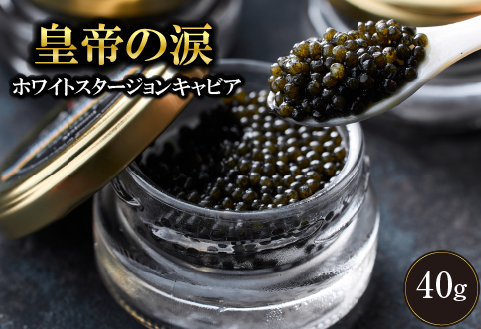 【純国産キャビア】ホワイトスタージョンキャビア 40g 皇帝の涙 国産 チョウザメ 魚卵 宮崎県 宮崎 小林市