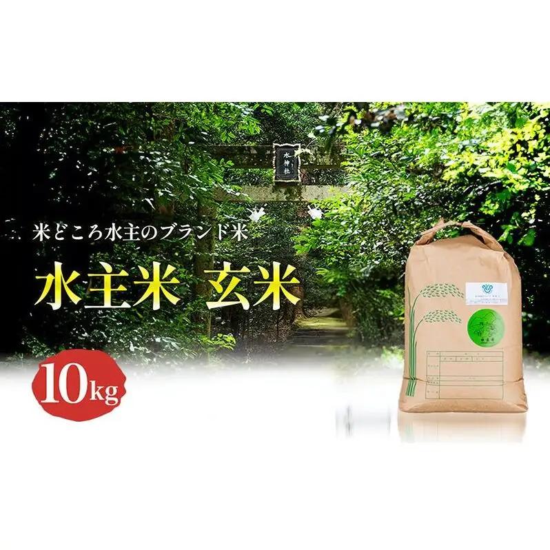 コシヒカリ 水主米 地域ブランド米 コシヒカリ【玄米10kg】