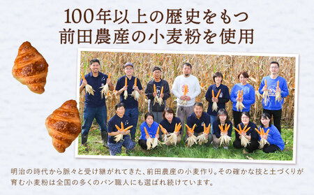 ミニクロワッサン 25個 セット パン ローカルベーカリー《7-14営業日以内に出荷予定(土日祝除く)》急速冷凍 手作り 朝ごはん おやつ 軽食 ランチ 北海道 本別町