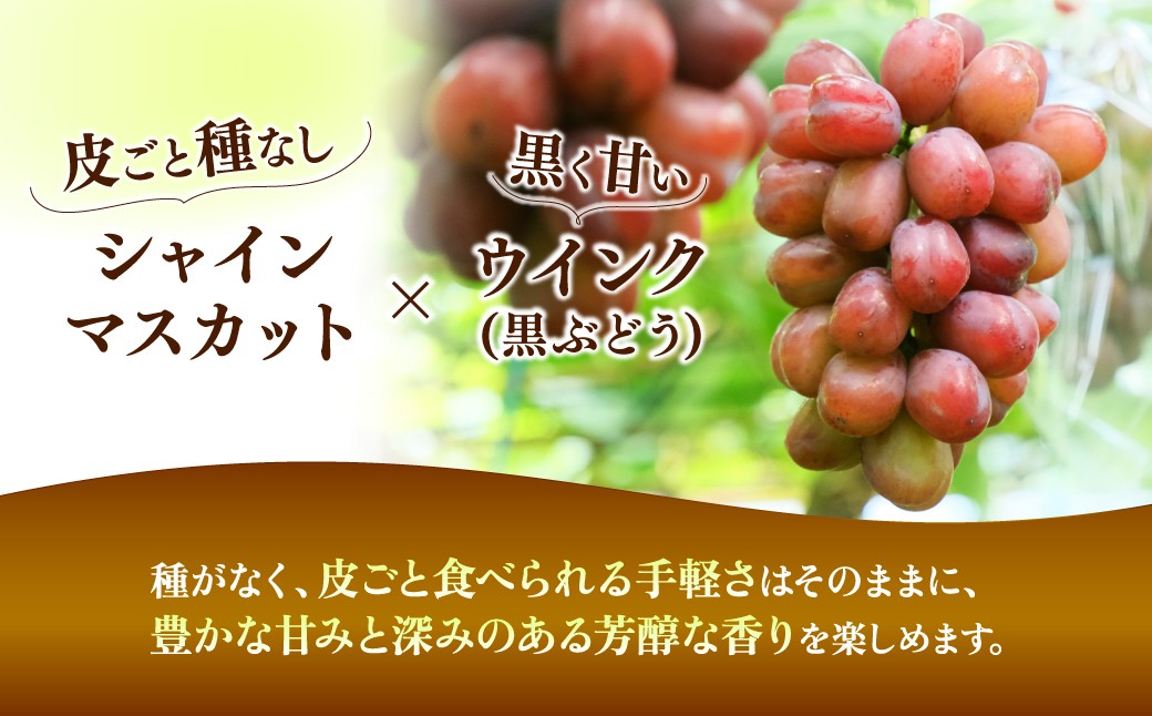 ぶどう 巨峰 葡萄 グレープ 果物 フルーツ 甘い おいしい 旬