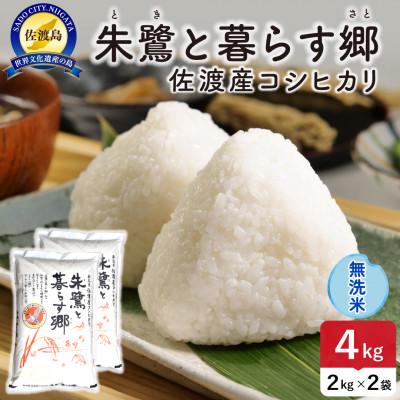 ふるさと納税 佐渡市 【新米予約】令和8年産 佐渡島産 朱鷺と暮らす郷(コシヒカリ) 無洗米4Kg 特別栽培米