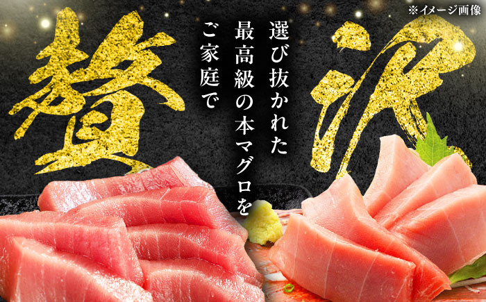 冷凍 マグロ まぐろ 中とろ 鮪 本マグロ 赤身 ねぎとろ ネギトロ たたき トロ 刺身 海鮮 海産物 魚 柵 定期便 毎月届く
