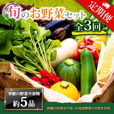 ふるさと納税 阿蘇市 【毎月定期便】季節のお野菜セットMサイズ 旬のお野菜を厳選してお届け全3回