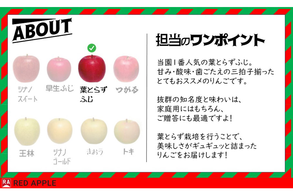 りんご 13度糖度保証【贈答用】蜜入り 葉とらずふじ＆王林 約10kg