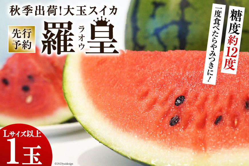 
                  DH053【令和8年度出荷分】秋季出荷！大玉スイカ～羅皇（ラオウ）～（Lサイズ6kg以上×1玉入）[先行予約 数量限定 すいか スイカ 西瓜 フルーツ 果物 長崎 長崎県 島原市] ◎
                