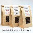 【ふるさと納税】コーヒー豆 自家焙煎 珈琲豆 セット 人気セットA コーヒー 珈琲 ドリップコーヒー ドリップ コーヒードリップ アラビカ種 ブレンド マンデリン レギュラーコーヒー 飲料 飲み物 ドリンク ホット 詰め合わせ 京都　 南丹市