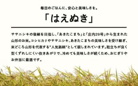新米 はえぬき 精米 10kg 2月上旬~2月中旬発送 配送時期選べる 令和7年産 2025年産 ※沖縄・離島への配送不可 tf-hasxb10-2f