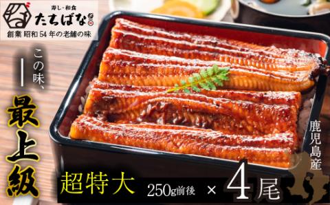 老舗たちばな　鰻蒲焼（250g前後）×4尾 鰻蒲焼用タレ・山椒付 鰻 うなぎ