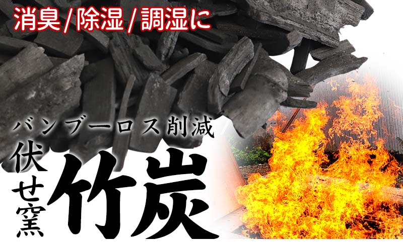 【ふるさと納税】 伏せ窯竹炭 3kg 消臭 調湿 虎竹 消臭 ギフト おすすめ 返礼品 生活用品 日用品