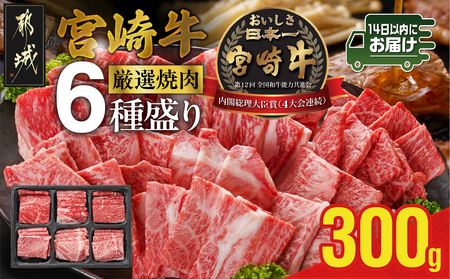 宮崎牛6種盛り焼肉食べ比べ300g≪みやこんじょ快速便≫_MJ-N202-R