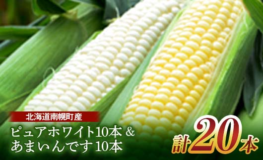 北海道産 とうもろこし 令和8年発送 ピュアホワイト10本＆あまいんです10本 食べ比べ 朝採れ 一番果 産地直送 数量限定 期間限定