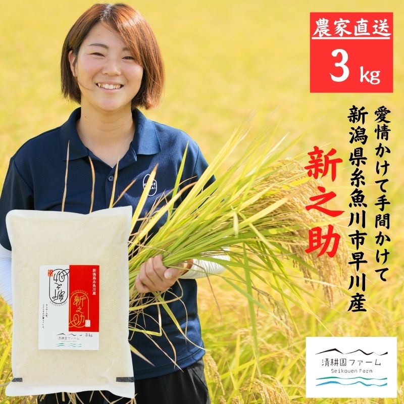 【ふるさと納税】 令和7年産 『新之助』 3kg 新潟県産 農家直送 真空パック 令和7年産 糸魚川 清耕園ファーム 美味しい 農家自慢 お米 白米 おにぎり お弁当 大粒 ツヤ 甘み 深い味わい 粘り 弾力 米