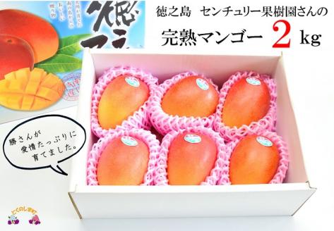 《先行予約》徳之島センチュリー果樹園さんの完熟マンゴー（２㎏） ( マンゴー フルーツ 果物 完熟 無加温 徳之島 世界自然遺産 美味しい とろける 旬 贅沢 糖度 南の島 )