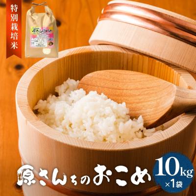 ふるさと納税 玖珠町 令和7年産 原さんちのお米 10kg にこまる 特別栽培米 原農園 有機栽培