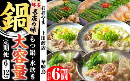 【隔月6回定期便】鍋大容量定期便 [BGAD080]鍋