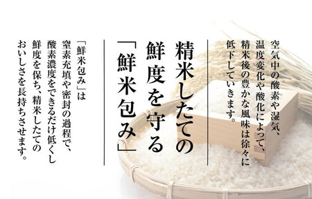 【令和7年産　頒布会】雪温精法　佐渡産こしひかり2kg×3回