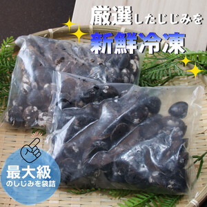 厳選 冷凍 しじみ 1kg (各500g×1袋) 宍道湖産 神西湖産 食べ比べセット）| しじみ