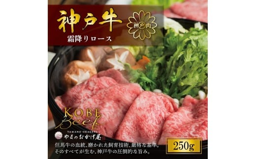 神戸牛 霜降り しゃぶしゃぶ すき焼き 250g AG049 神戸牛 神戸ビーフ 神戸beef 但馬牛 和牛 黒毛和牛 国産牛 牛肉 お肉 すき焼き しゃぶしゃぶ 霜降り ロース モモ【AS36BB56】