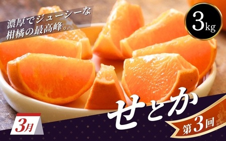 ＼新登場／ 【全3回定期便】和歌山のプレミア柑橘定期便 （越冬早生みかん・せとか・春峰） ※2027年1月より3回お届け / みかん 定期便 柑橘 せとか フルーツ 早生みかん ミカン 和歌山 果物 