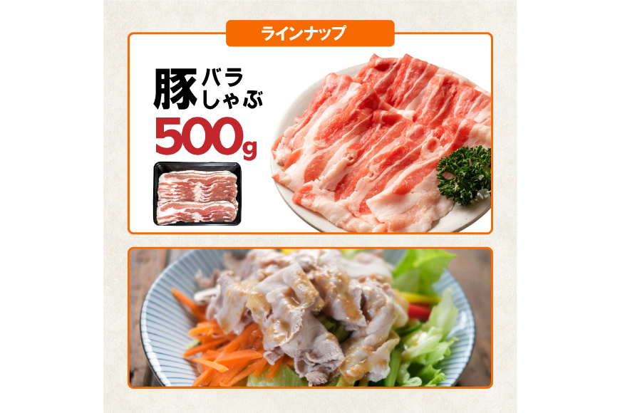 豚肉 詰め合わせ 宮崎県産豚肉 バラエティ セット 4種 2kg [南九フーズ 宮崎県 日向市 452061518] バラ 切り落とし しゃぶしゃぶ ロース スライス 豚こま 小間切れ ミンチ ひき肉