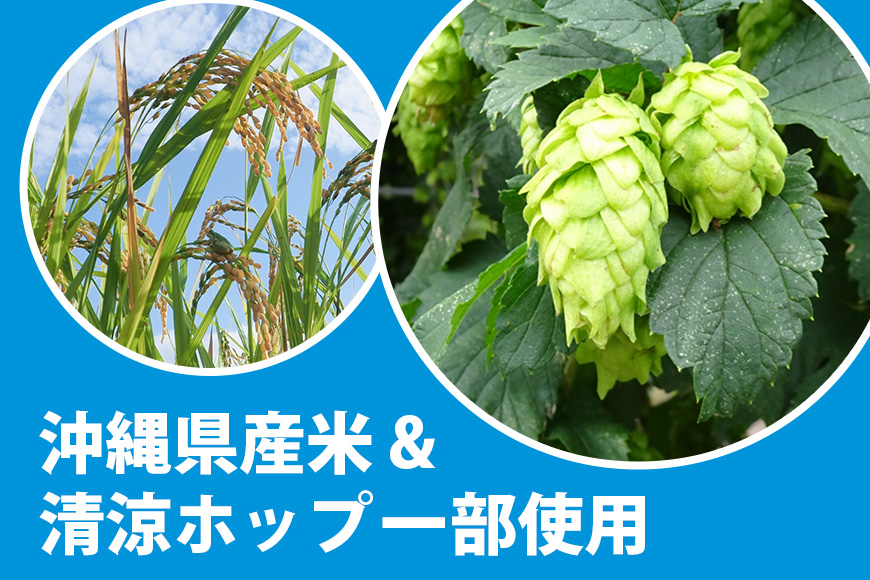 オリオンサザンスター(500ml×24缶)1ケース 沖縄 リキュール 発泡性 ビール BEER orion サザンスター お酒 酒 缶ビール 地ビール オリオン クラフトビール 沖縄ビール アルコール