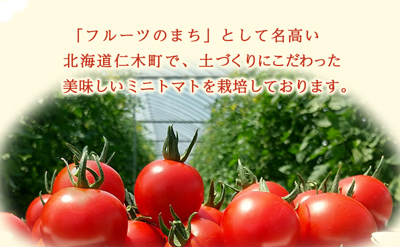 北海道仁木町産ミニトマト【エコスイート】1.2kg×6箱［栽培期間中 農薬不使用］