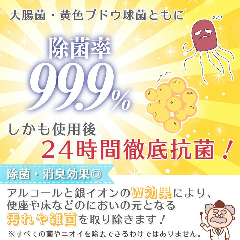 【ふるさと納税】【3か月定期便】ＧＮ超厚流せるトイレクリーナー大判 12枚×2パック×20袋×3か月 トイレクリーナー  クリーナー 大判サイズ 除菌 消臭 銀イオン アルコール トイレに流せる トイ