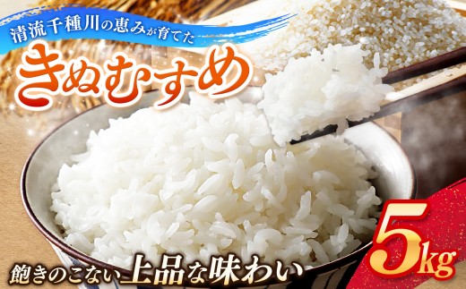 令和7年産 上郡町からのお米 きぬむすめ5kg | お米 きぬむすめ 千種川 農家 和食 安心 安全 産地直送 おいしい グルメ こだわり 逸品 国産 兵庫県 上郡町