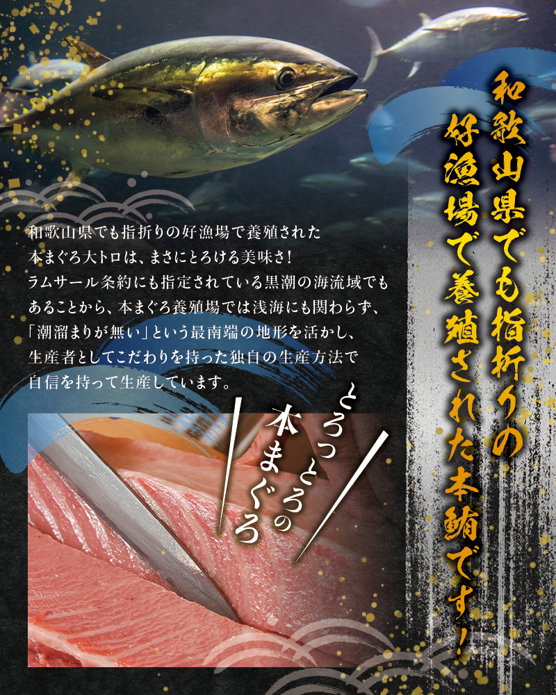 本マグロ 大とろ 200g サク 「プレミア和歌山認定」  和歌山県でも指折りの好漁場で養殖された本鮪です！  南紀串本よしだ本鮪【mhs103A】