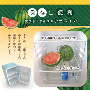 小玉スイカ1玉 熊本和水町産 スイカ 小玉【4月中旬頃から順次出荷】 | 熊本県 和水町 くまもと なごみまち すいか 西瓜 スイカ 小玉 1玉