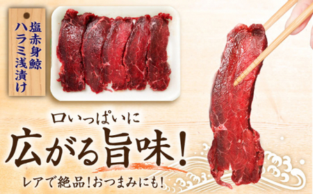 鯨 2種 600g (塩赤身鯨 ハラミ浅漬け  塩鯨炙り用脂筋肉)各300g【中島(鯨)商店】[DBM011]/ 長崎 小値賀 魚 魚介類 クジラ くじら 赤身