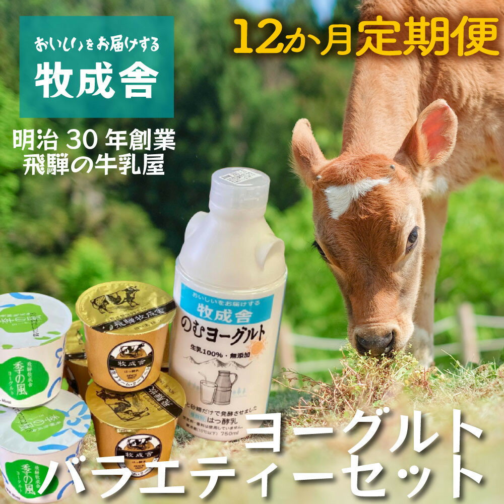 【ふるさと納税】【12か月定期便】牧成舎のヨーグルト3種食べくらべセット｜ヨーグルト 乳製品 デザート 朝食 食生活 牧成舎DF215