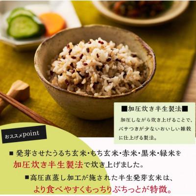 ふるさと納税 松原市 ご飯パック 発芽玄米ごはん 160g×18個 |  | 03