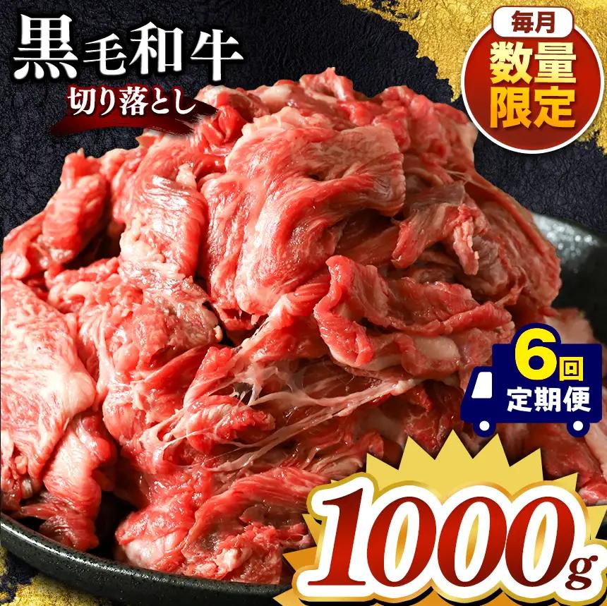 【定期便6回】栃木県産黒毛和牛切り落とし 1000g 