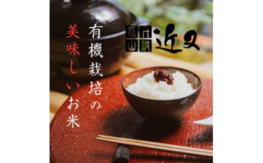 令和8年産新米【有機栽培米】丹波篠山産コシヒカリ　5kg 兵庫県 丹波篠山市 白米 100％単一原料米 産地直送米 おいしい お米 精米 コシヒカリ ブランド おこめ 健康 送料無料 おすすめ 人気 口コミ