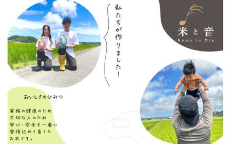 【10営業日発送】【令和7年産】静岡県産コシヒカリ 精米 10kg （5kg×2袋） 【2026年8月下旬迄順次発送予定】 コシヒカリ こしひかり 白米 米 コメ こめ ご飯 ごはん 新米 菊川市 静