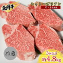 【ふるさと納税】飛騨牛 シャトーブリアン ステーキ 6ヵ月定期便約800g 4～6枚切り×6 肉 牛肉 和牛 ブランド牛 お肉 ビーフ ヒレ 希少部位 赤身 贅沢 国産 ご褒美 豪華 グルメ 焼肉 BBQ ギフト 贈り物 自家用 贈答用 送料無料 焼肉マルイ 岐阜県 【 安八町 】　定期便