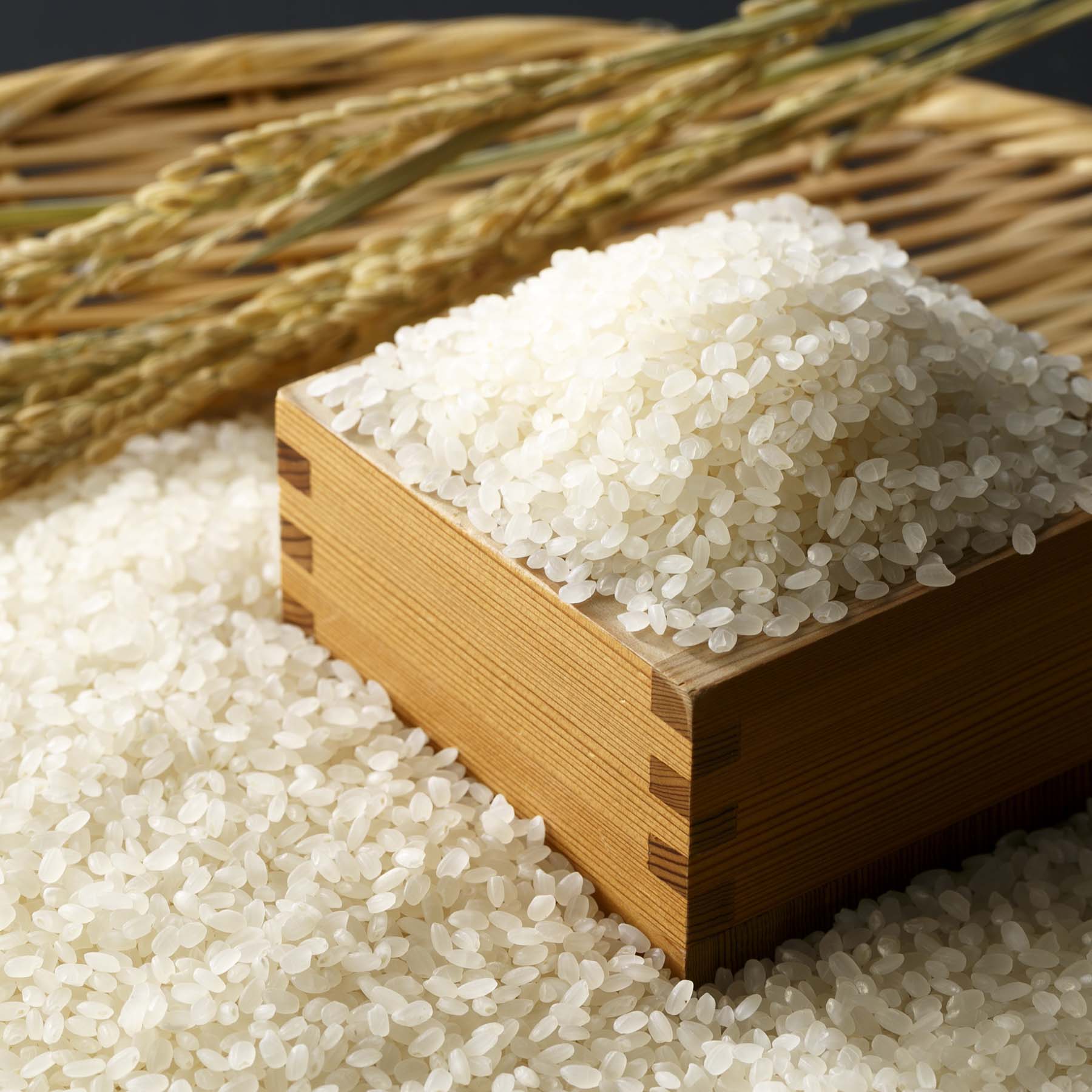 特別栽培米新潟産コシヒカリ5kg 定期便3回