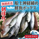 【ふるさと納税】 【 船上 神経締め 鮮魚ボックス 】 朝獲れ 直送 3〜5 種 入り 冷蔵 魚種 お任せ 水揚げ 鮮魚 海鮮 魚介 産地直送 高知 の 魚 須崎 九石大敷 鮮度抜群