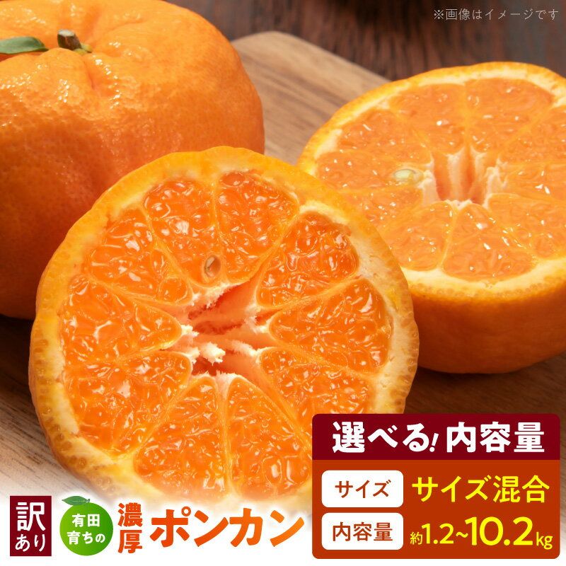【ふるさと納税】【2027年先行予約】 ポンカン 訳あり 家庭用 選べる内容量 約1.2kg 〜 約10.2kg サイズ混合 極甘 柑橘 有田育ち 濃厚 お取り寄せ 和歌山県 湯浅町 送料無料
