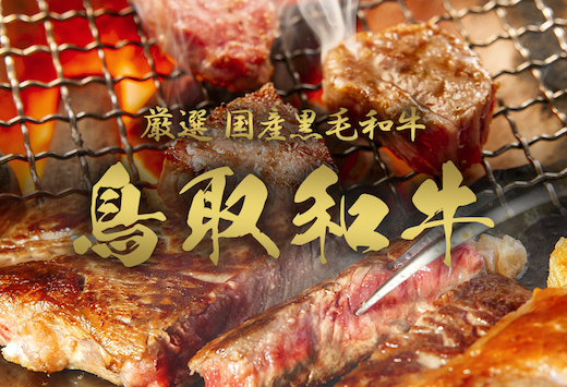 【和牛セレブ】鳥取和牛 定期便 レギュラークラス