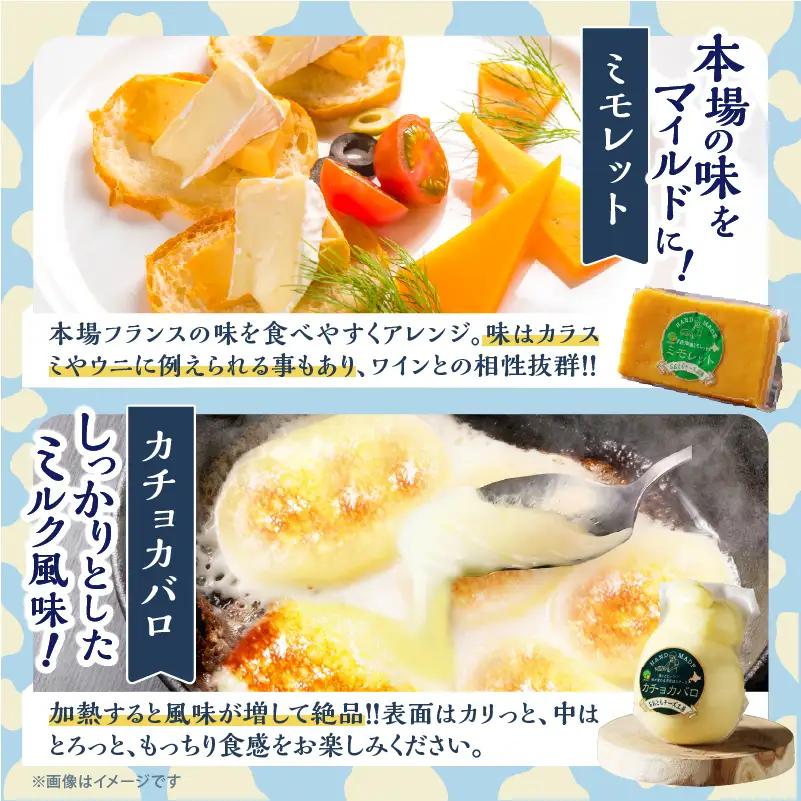 《10日以内発送》 チーズ詰め合わせ チーズ_H0003-101