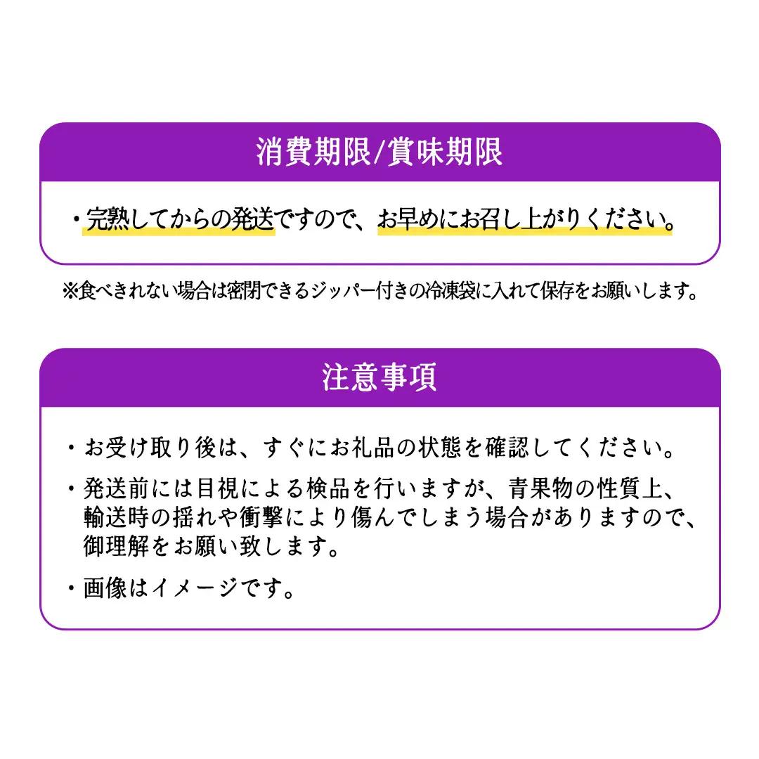 朝摘み 生 ブルーベリー 1kg (500g×2) (CB001)