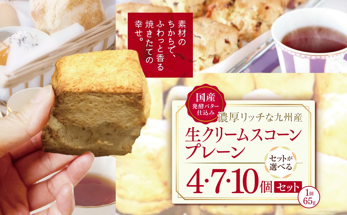 
            国産発酵バター仕込み濃厚リッチな九州産生クリームスコーン プレーン 選べる 内容量 4個 ～ 10個 | お菓子 菓子 おかし 洋菓子 焼き菓子 イギリス菓子 プレーンスコーン おやつ デザート スイーツ 手作り ティータイム アフタヌーンティー 大分県 中津市
          