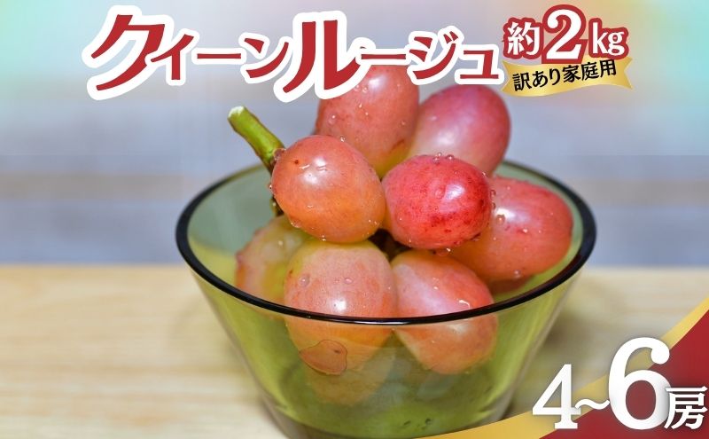ぶどう 訳あり 家庭用 クイーンルージュ 約2kg (4～6房) フルーツ 秋 2026年 10月発送